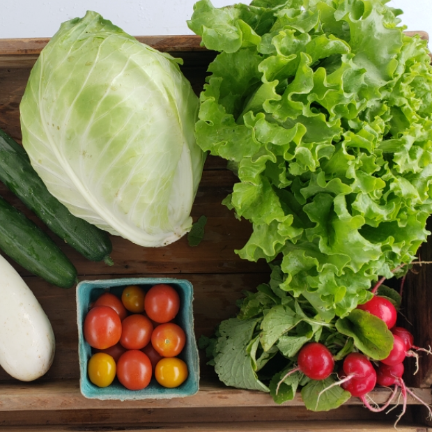 2026 Free Choice Farm Share | Muddy River Farms 9400 Noward Road ...